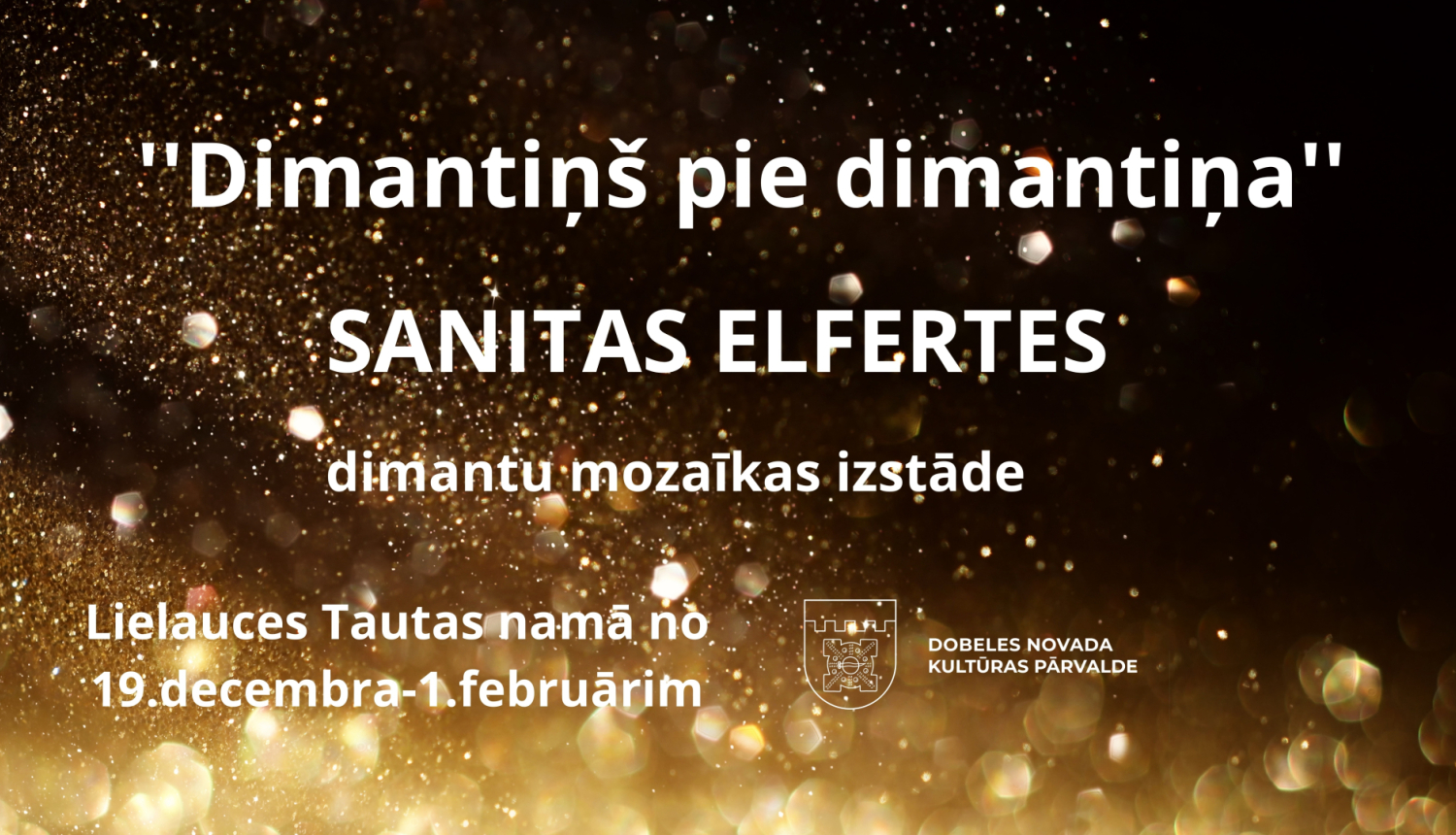 Sanitas Elfertes izstāde